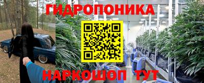 PSILOCYBIN Будённовск