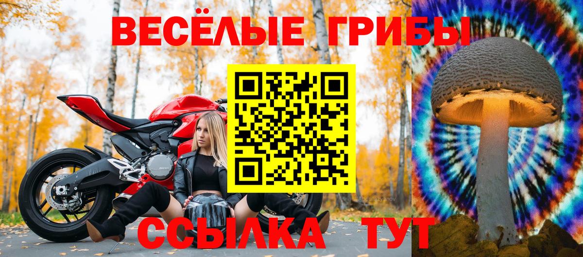 Псилоцибиновые грибы Cubensis  Вход с VPN  Златоуст 