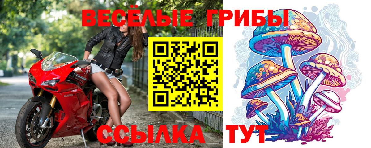 Псилоцибиновые грибы GOLDEN TEACHER Златоуст